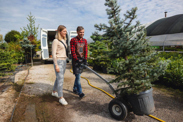 Best Tree Branch Trimming  in West Frankfort, IL